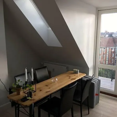 Apartment Penthouse In Copenhagen