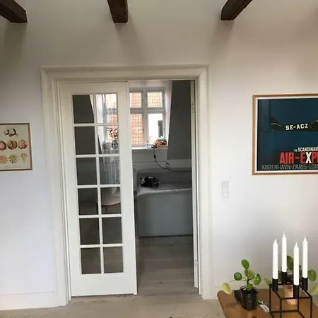 Penthouse In Copenhagen