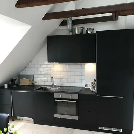 Apartment Penthouse In Copenhagen