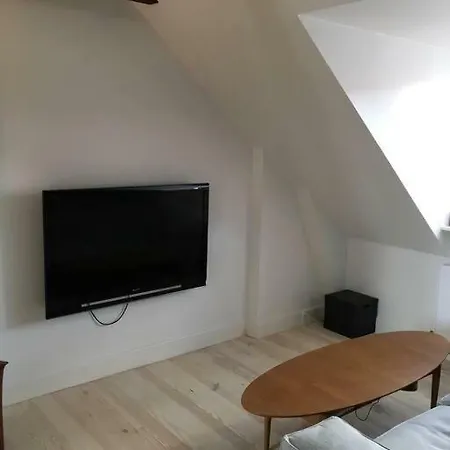 Apartment Penthouse In Copenhagen